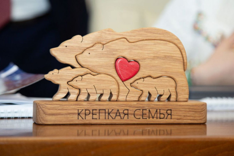 Проект релиза диктанта «Секреты Развивающих Игрушек: Проверь себя!».